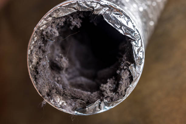 Best Air Duct Cleaning Near Me  in Graham, WA