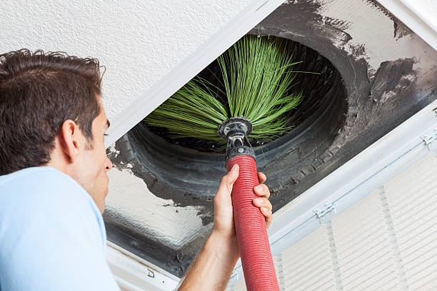 Air Duct Mold Removal in WA